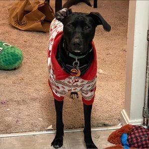 Meet your Posher, Candace